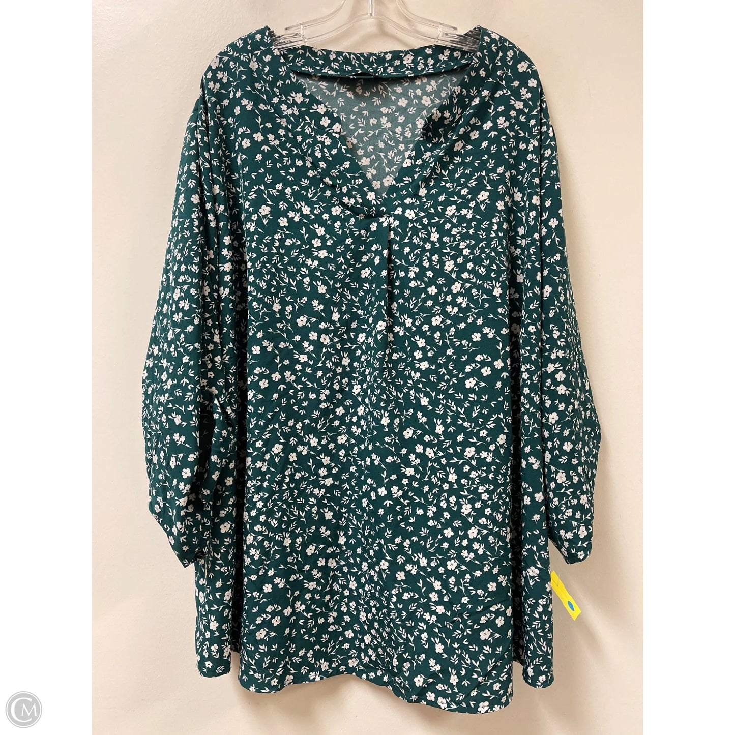 Top Long Sleeve By Bloomchic In Green, Size: 4x