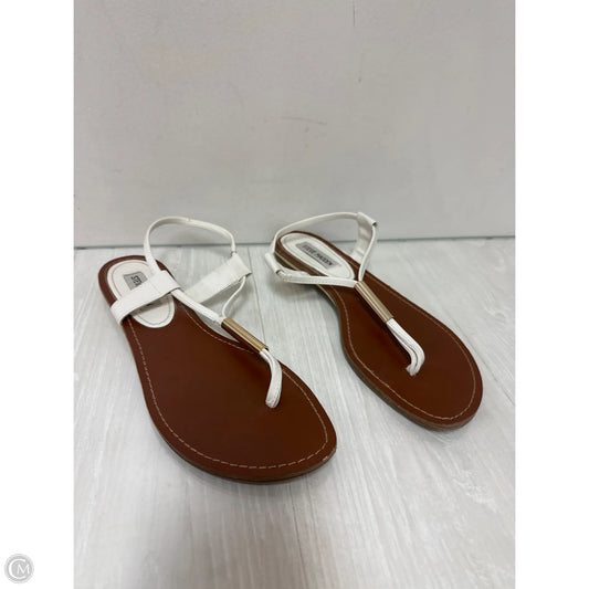 Sandals Flats By Steve Madden In White, Size: 10