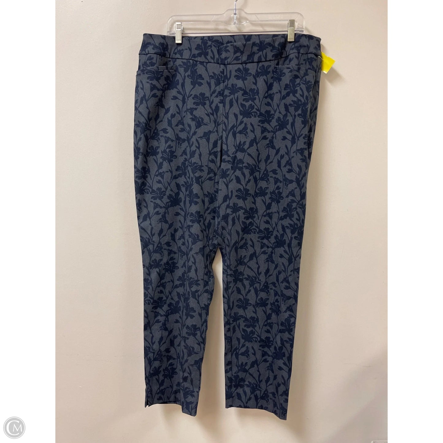 Pants Leggings By Chicos In Blue, Size: 16