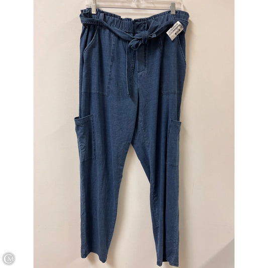 Pants Cargo & Utility By Pure Jill In Blue, Size: 1x
