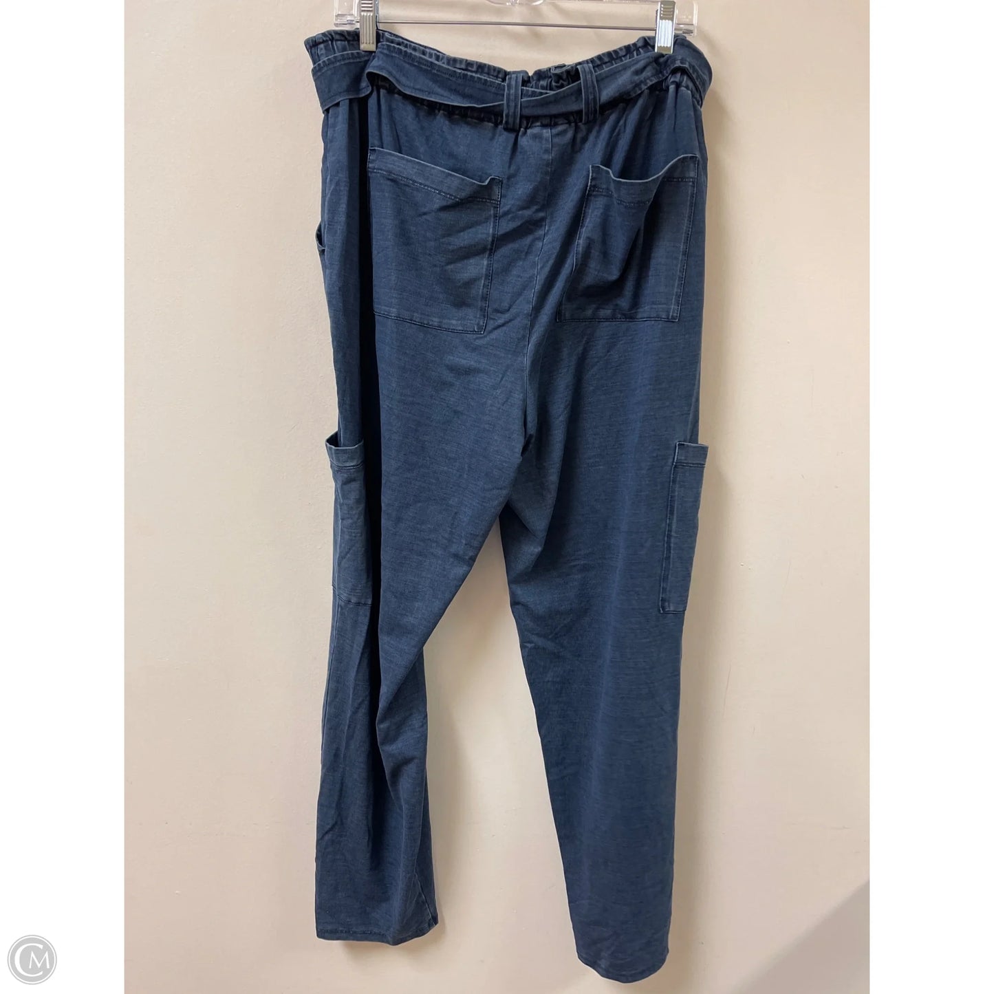 Pants Cargo & Utility By Pure Jill In Blue, Size: 1x