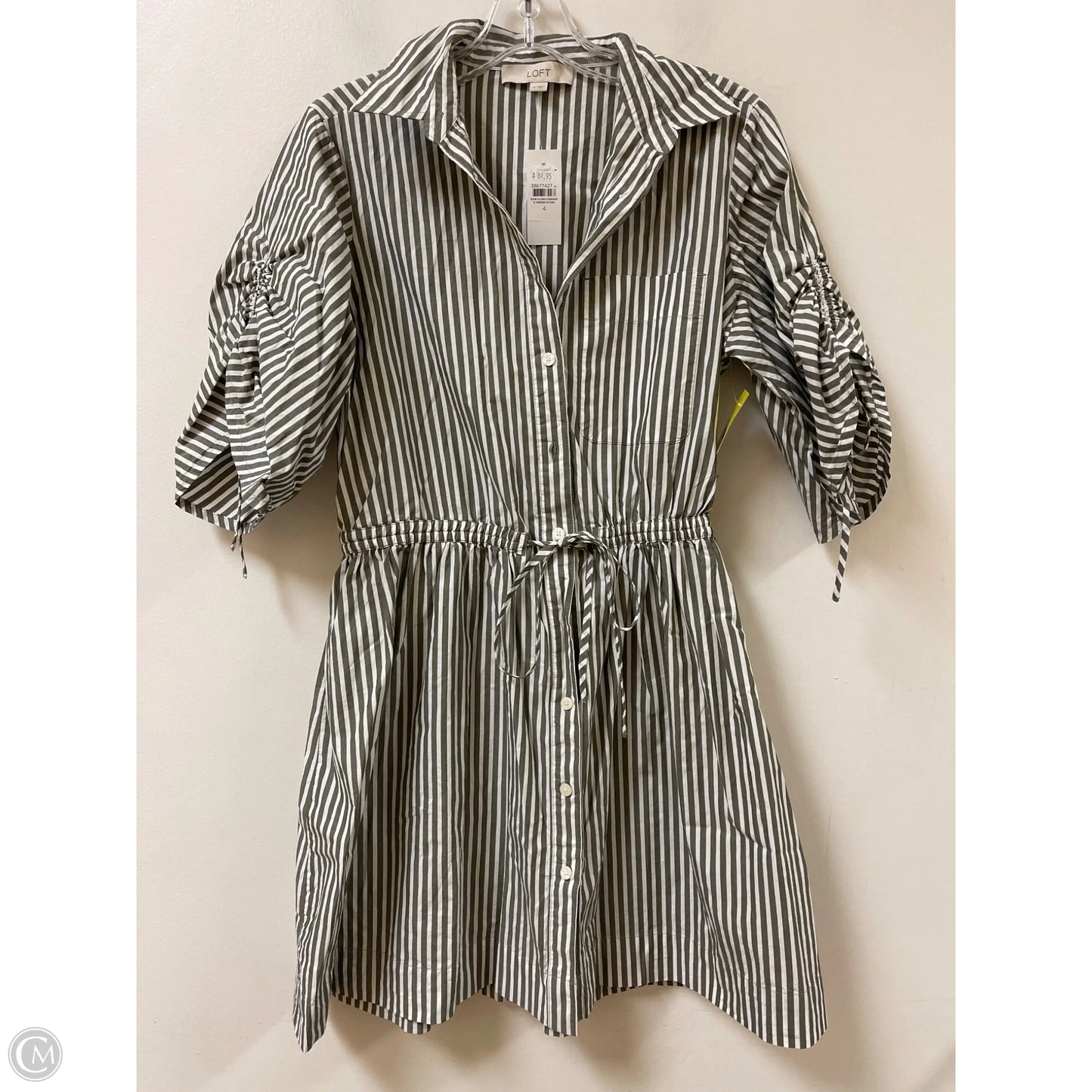 Dress Casual Short By Loft In Green, Size: S