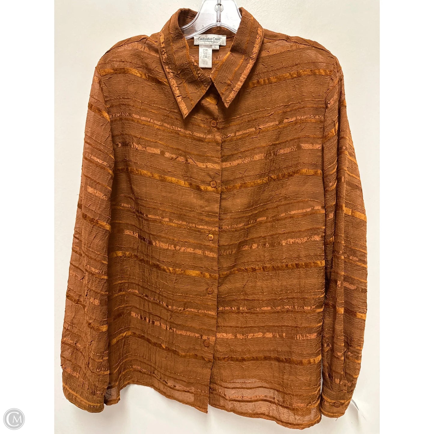 Blouse Long Sleeve By Coldwater Creek In Orange, Size: L