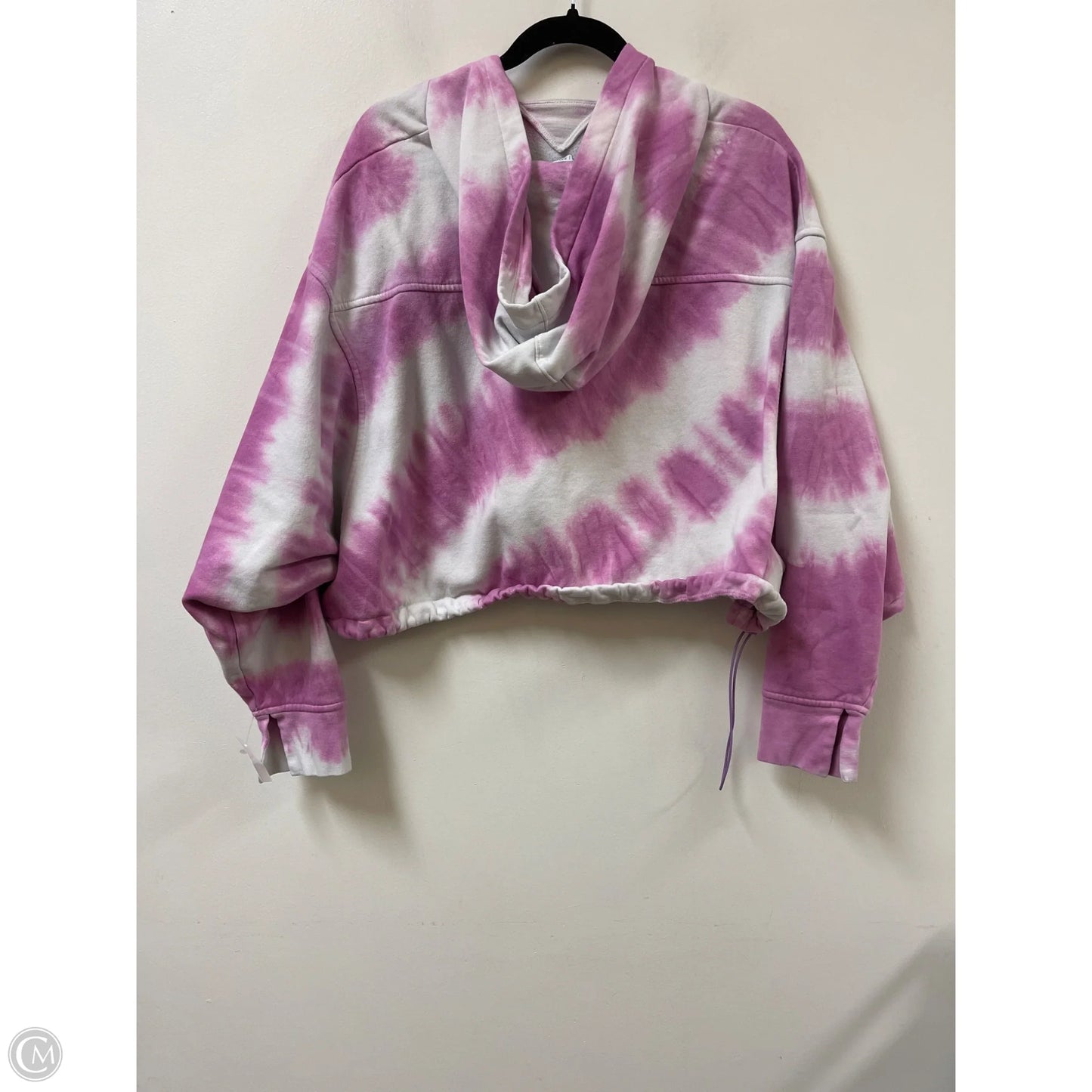 Athletic Sweatshirt Hoodie By Dsg Outerwear In Purple, Size: 2x