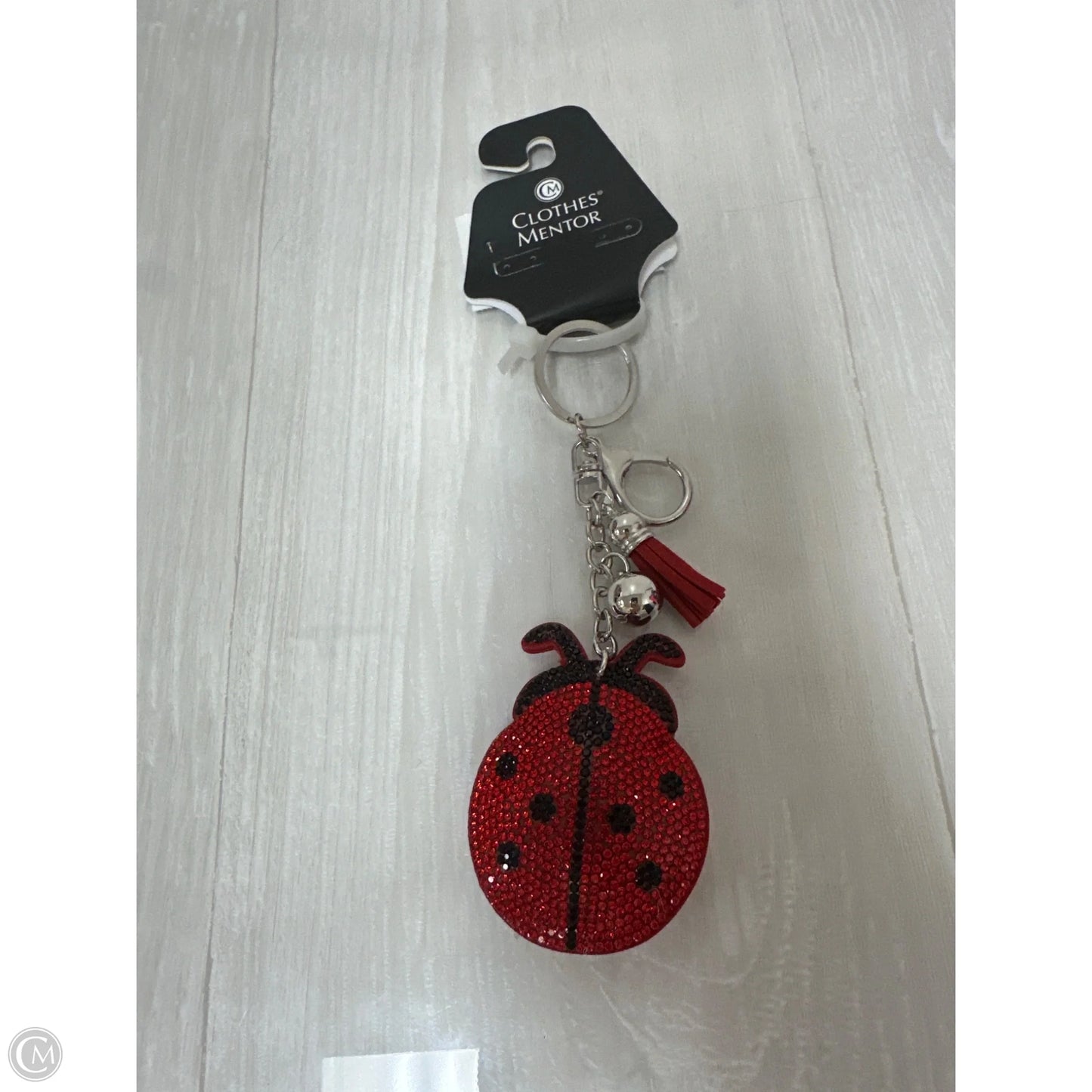 Accessory Tag By Clothes Mentor