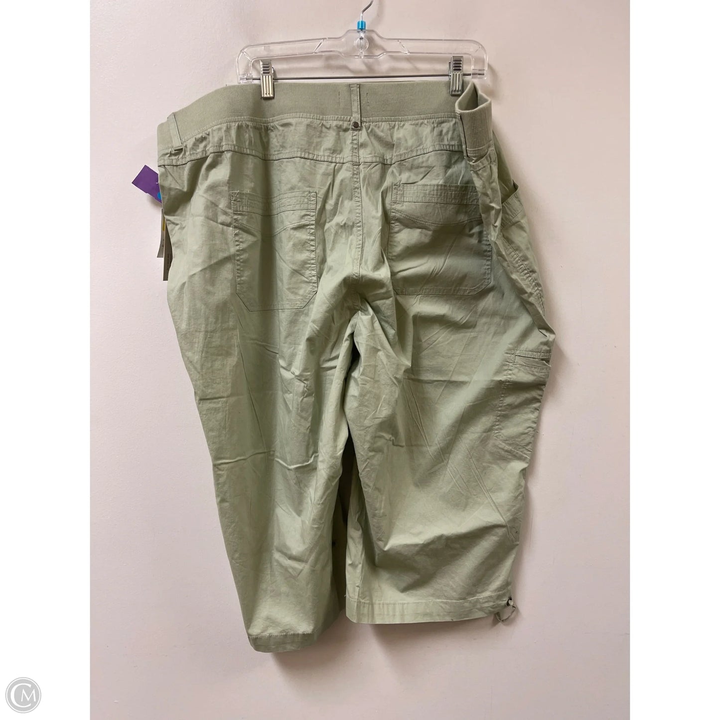 Shorts By Dash In Green, Size: 2x