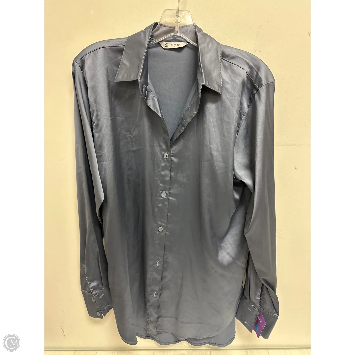 Blouse Long Sleeve By Clothes Mentor In Blue, Size: L