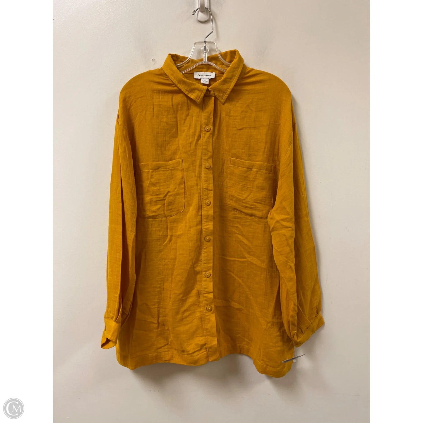 Blouse Long Sleeve By Calligraphie In Yellow, Size: Xl