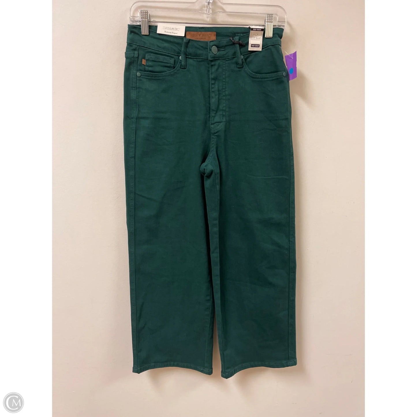 Pants Other By Judy Blue In Green, Size: 4
