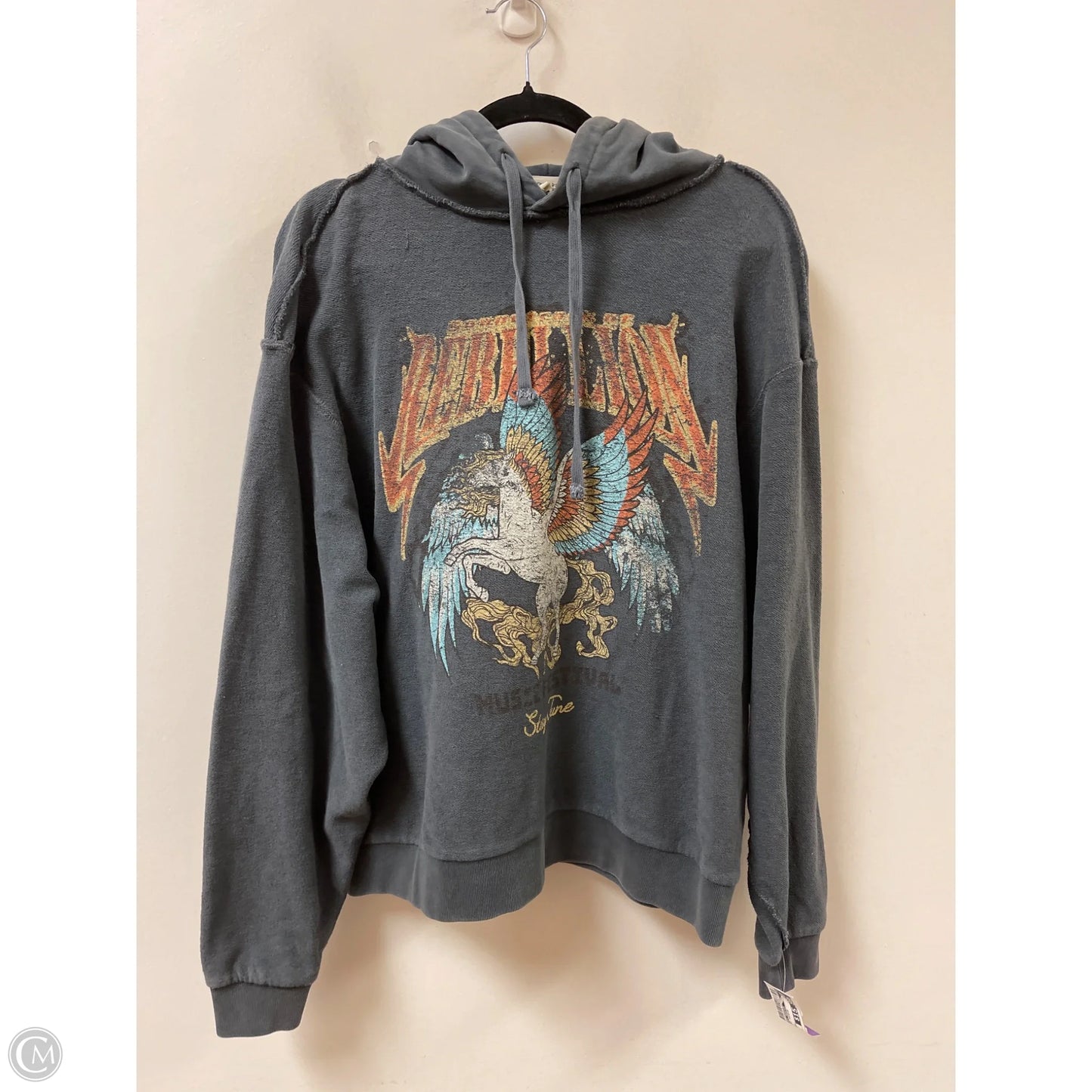 Sweatshirt Hoodie By Clothes Mentor In Grey, Size: L