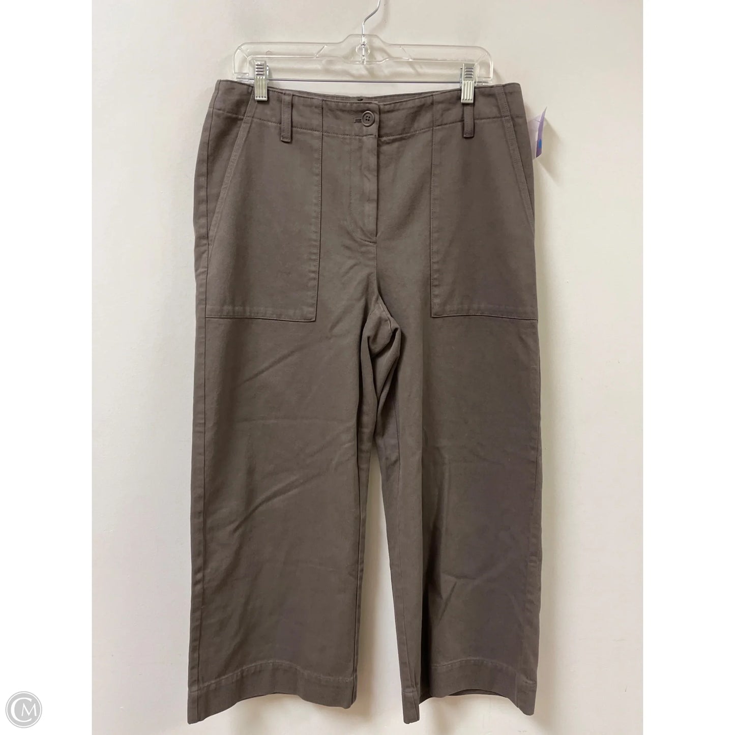 Pants Wide Leg By Eileen Fisher In Bronze, Size: 6