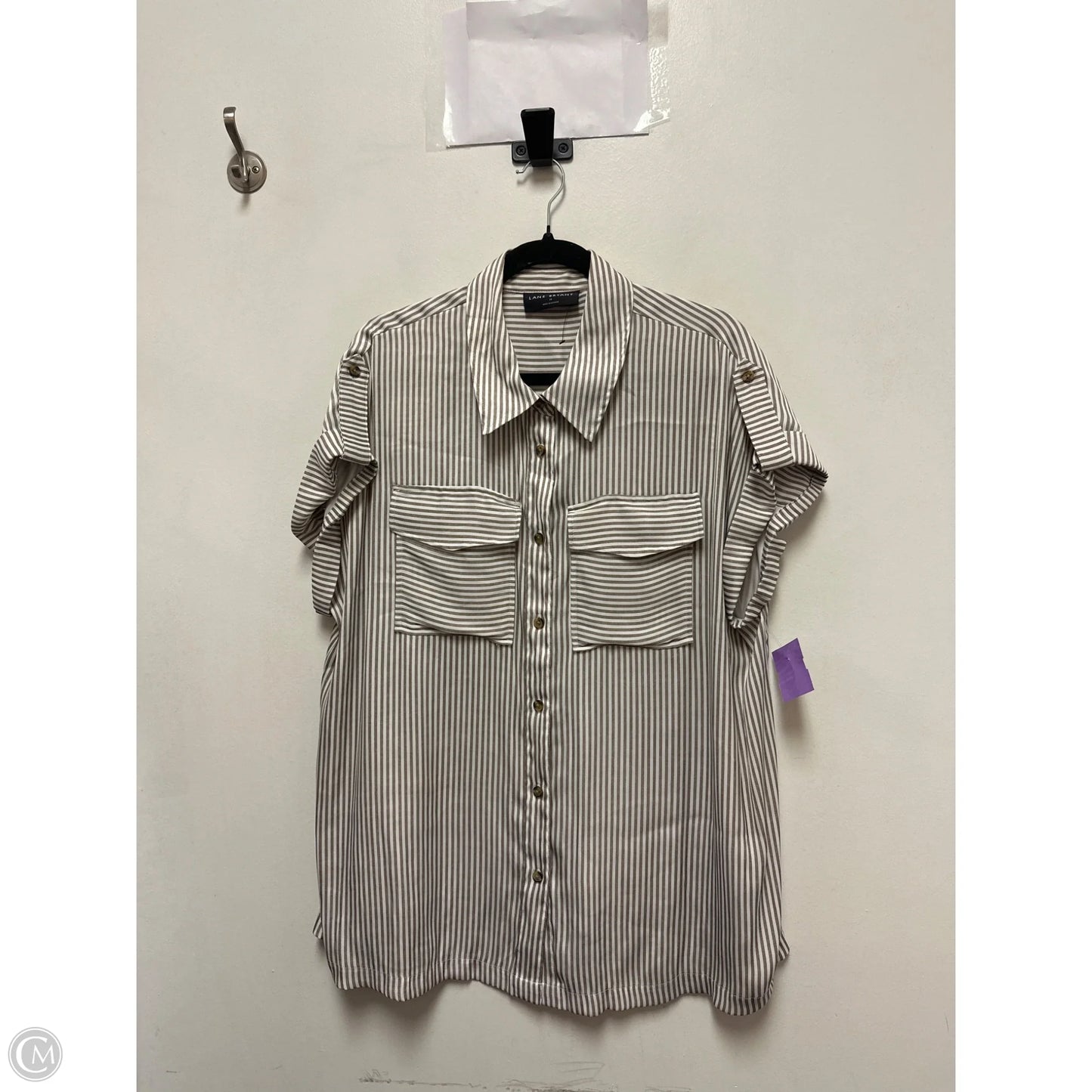 Blouse Short Sleeve By Lane Bryant In Bronze, Size: Xl
