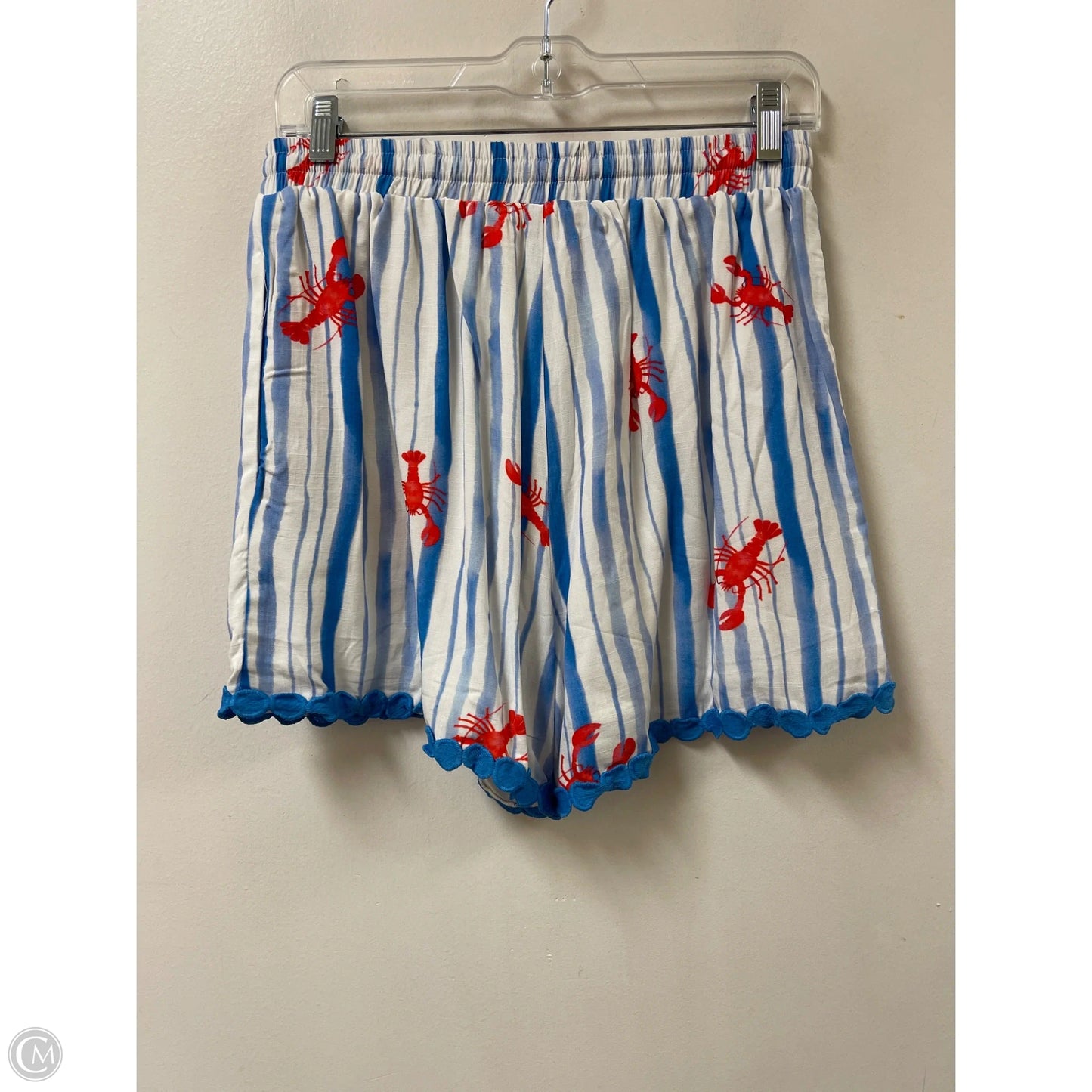 Shorts By Clothes Mentor In Blue, Size: 8