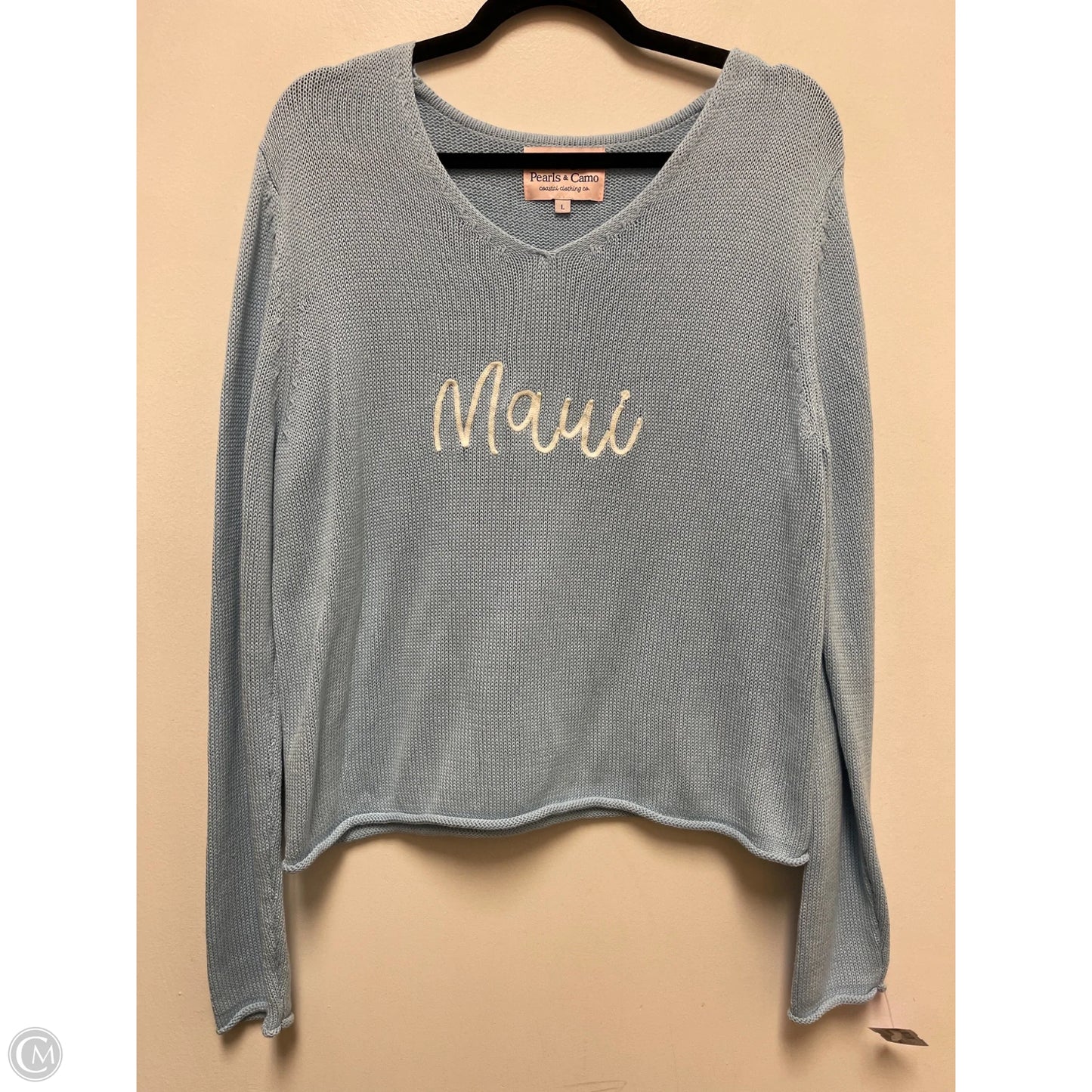 Sweater By Clothes Mentor In Blue, Size: L