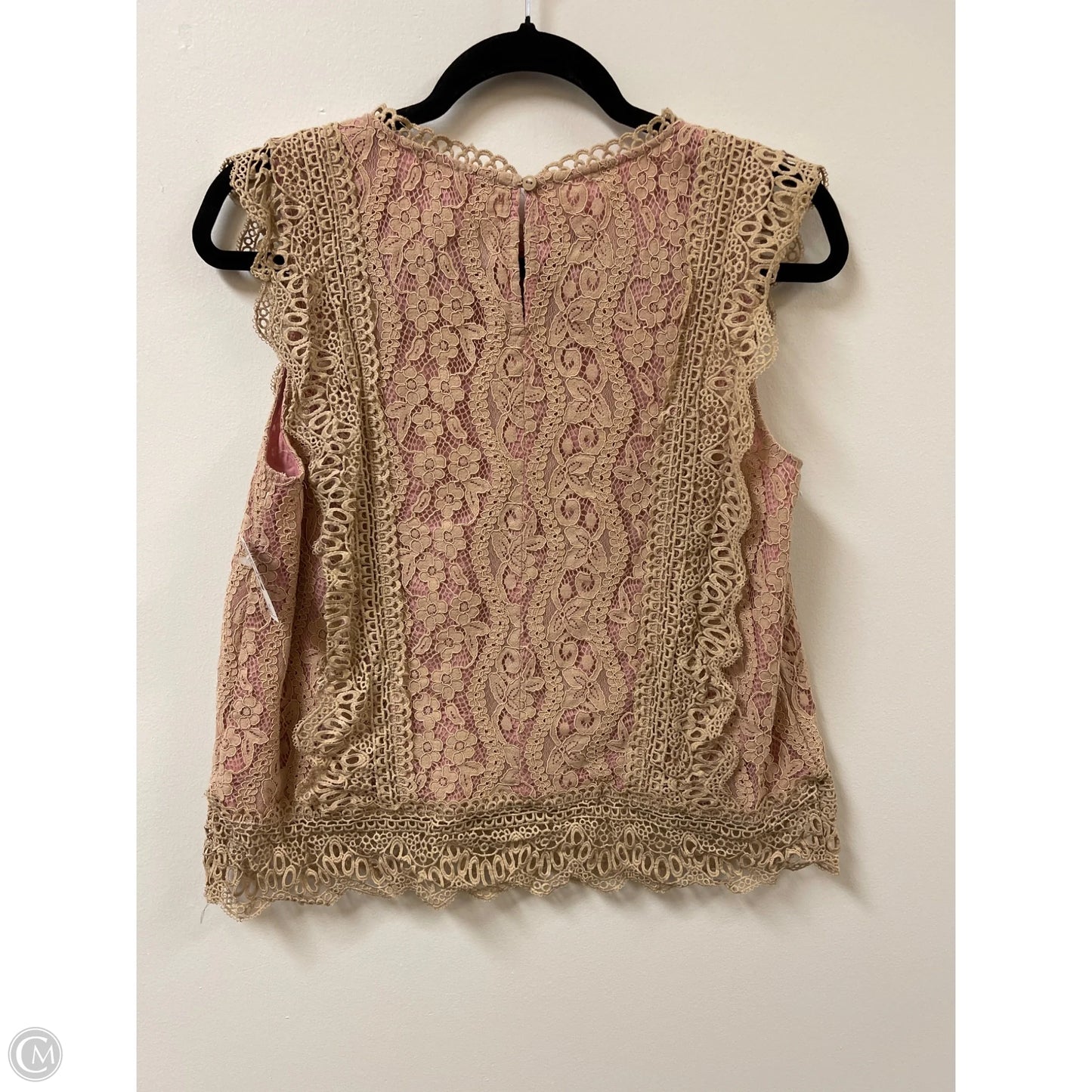 Top Short Sleeve By Eri + Ali In Tan, Size: M