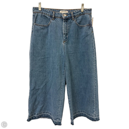 Jeans Wide Leg By Zara In Blue Denim, Size: 10