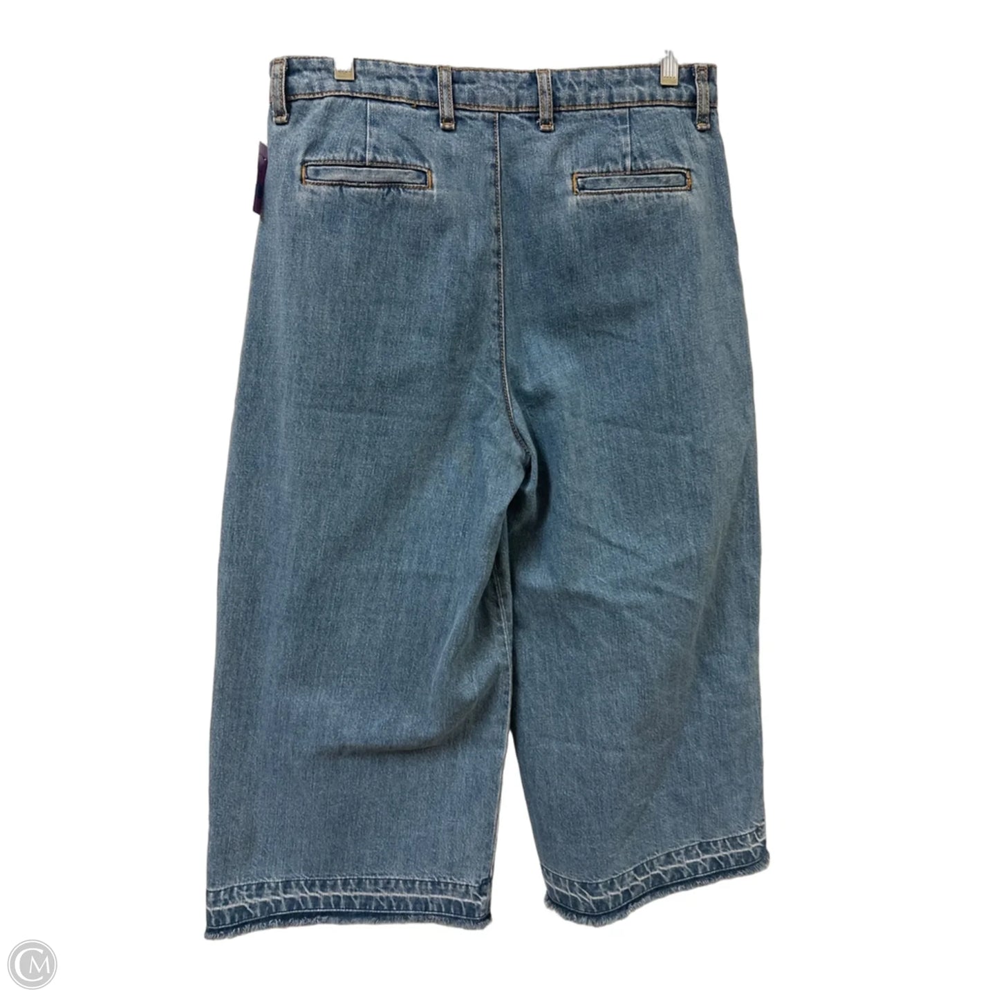 Jeans Wide Leg By Zara In Blue Denim, Size: 10