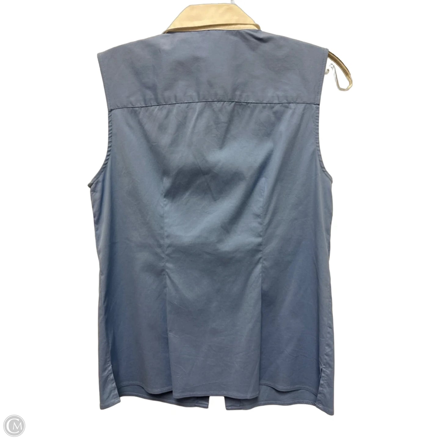 Top Sleeveless By Ann Taylor In Blue, Size: S