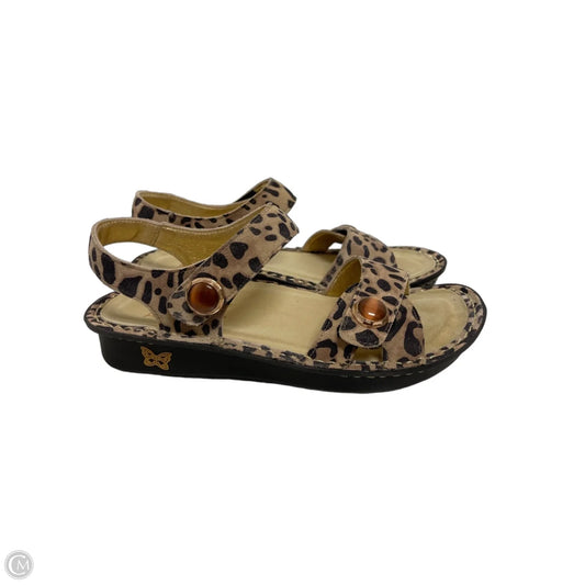 Sandals Flats By Alegria In Animal Print, Size: 5.5