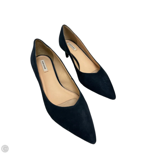 Shoes Heels Kitten By Alex Marie In Blue, Size: 8.5