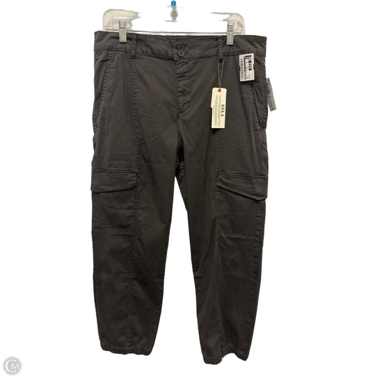 Pants Cargo & Utility By Sanctuary In Grey, Size: 14