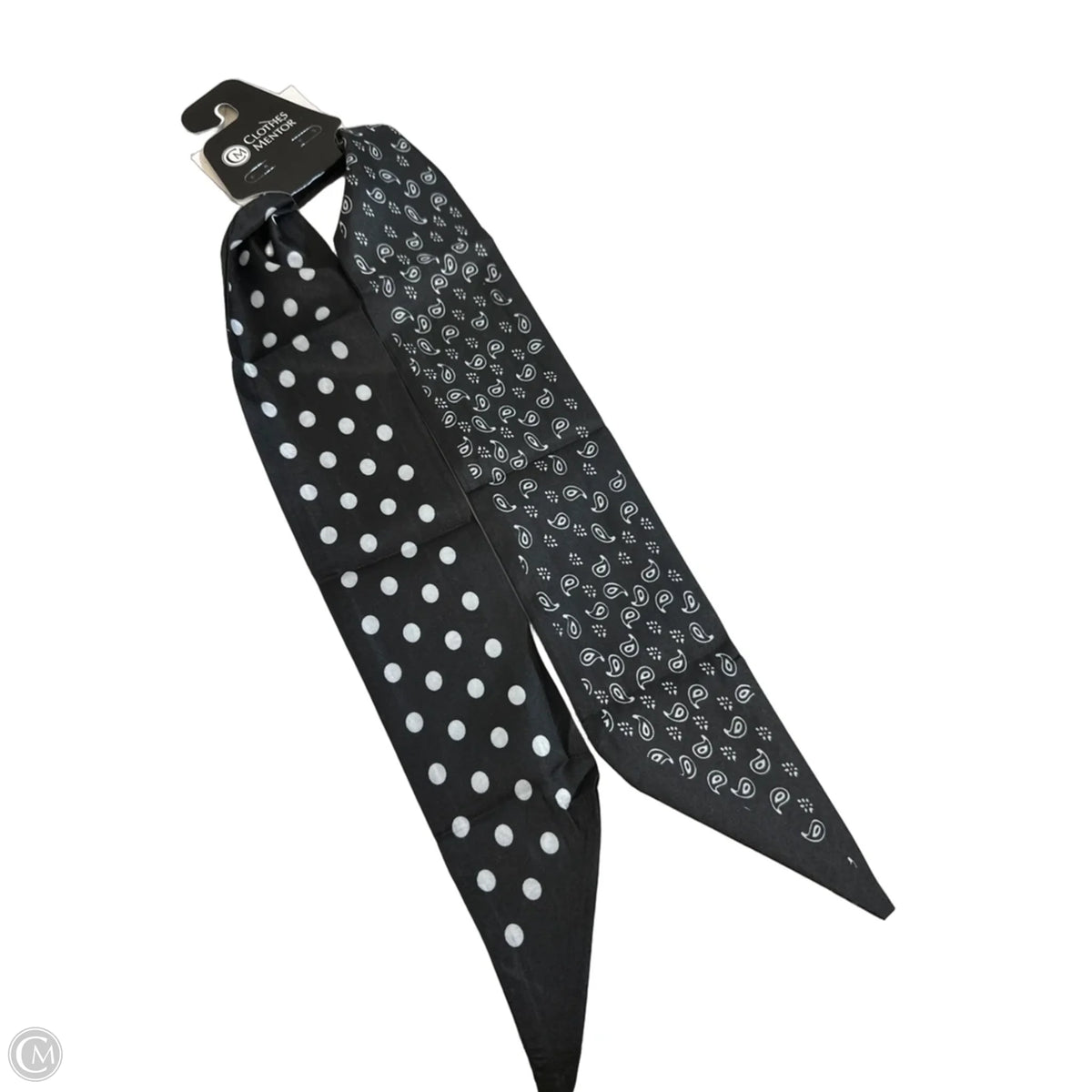 Scarf Long By Clothes Mentor