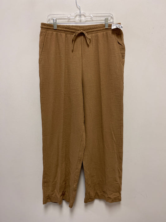 Pants Wide Leg By Z Supply In Bronze, Size: 12