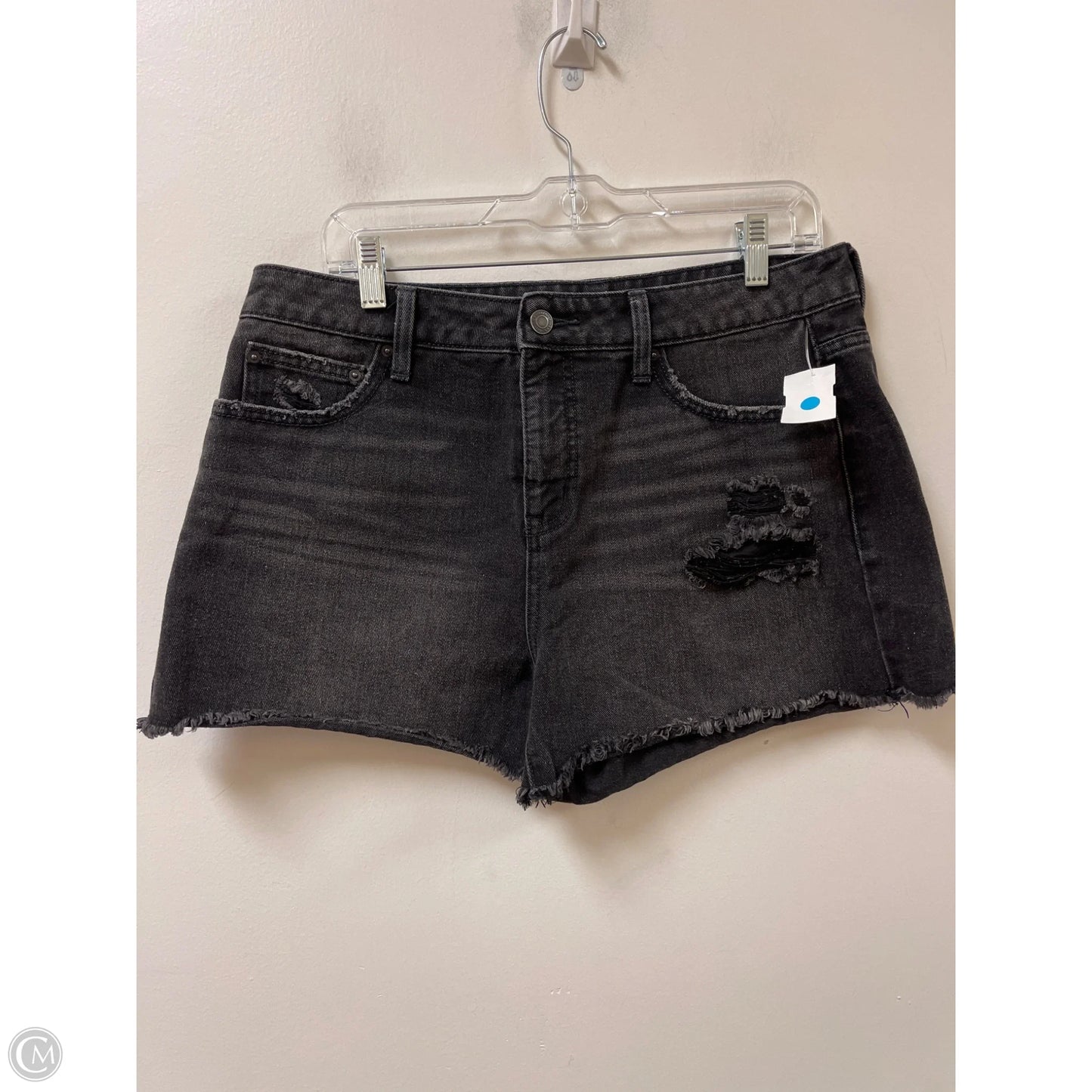 Shorts By Time And Tru In Black, Size: 10