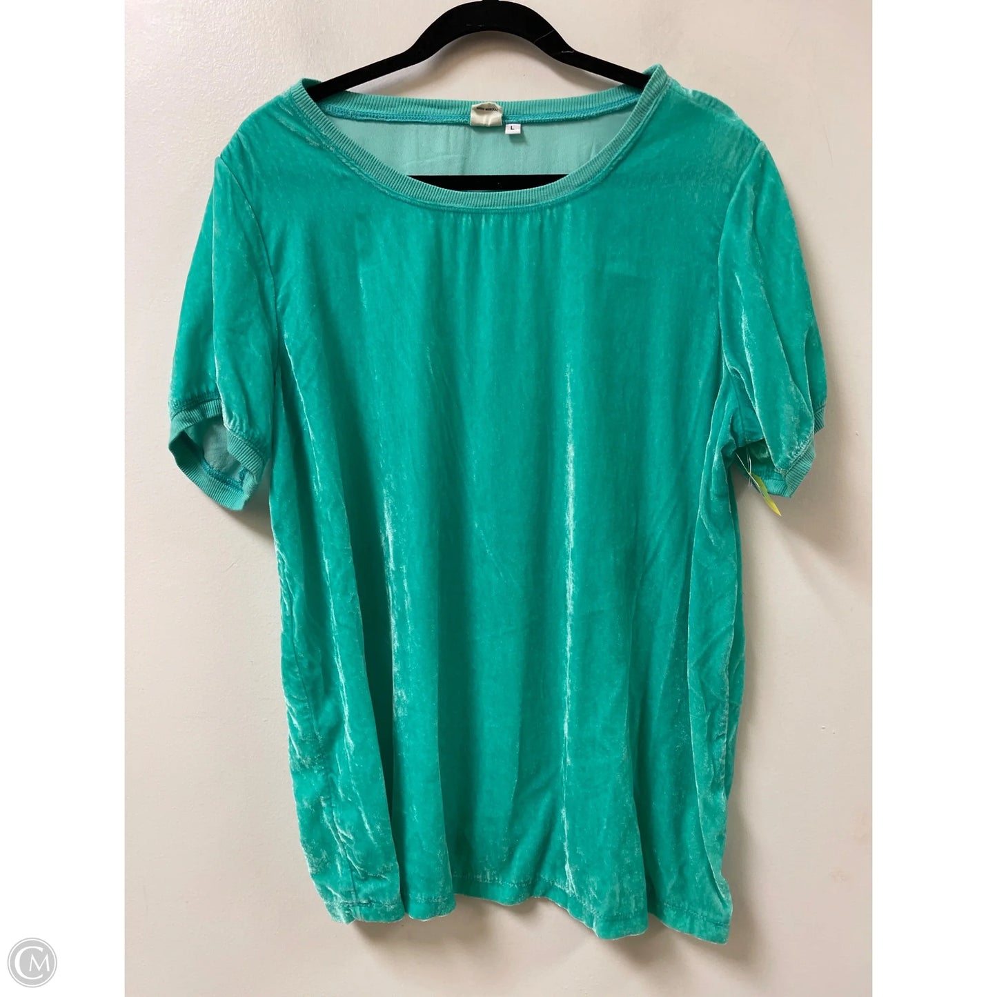Top Short Sleeve By Ivy Jane In Green, Size: L