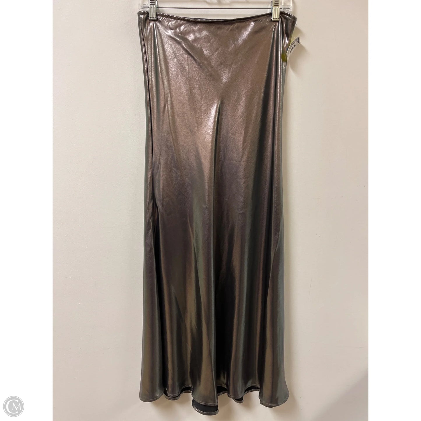 Skirt Maxi By Wild Fable In Silver, Size: 4