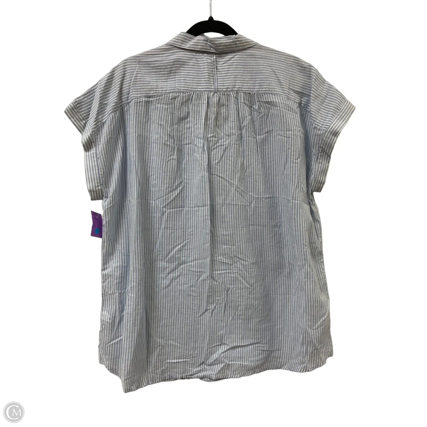 Top Short Sleeve By Beachlunchlounge In Blue, Size: Xl