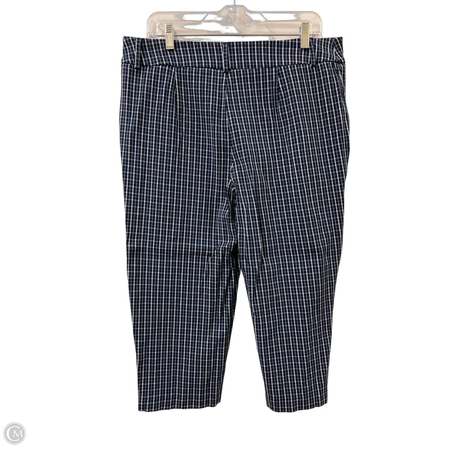 Capris By Time And Tru In Blue, Size: 14