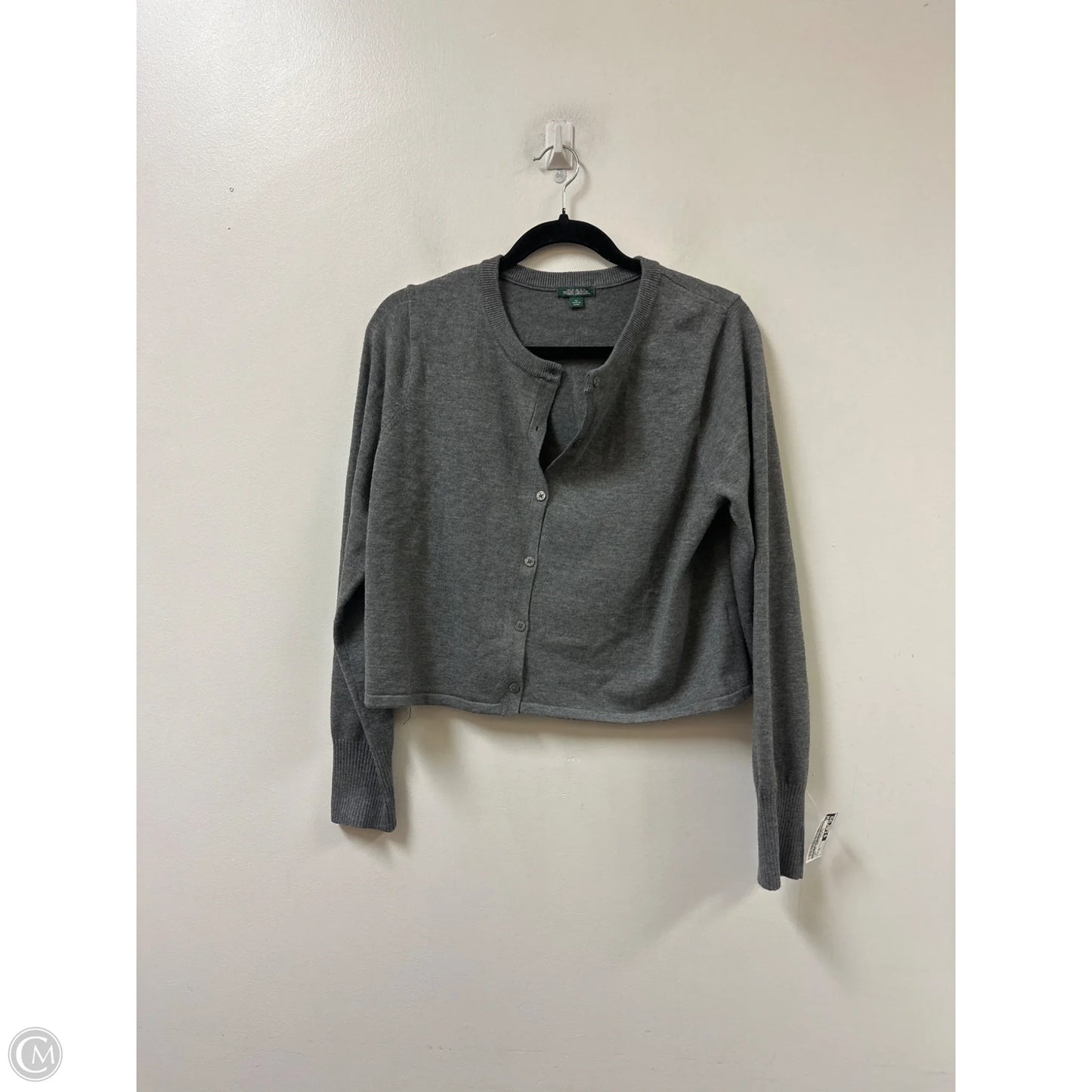 Sweater Cardigan By Wild Fable In Grey, Size: Xl
