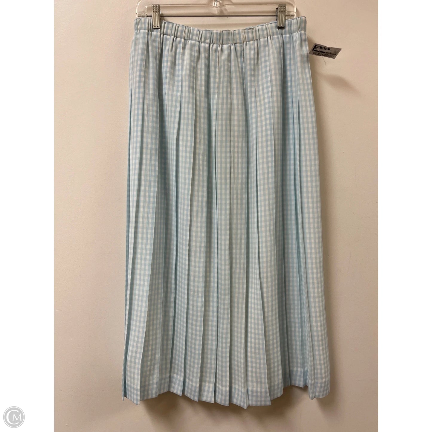 Skirt Maxi By Susan Bristol In Blue, Size: L