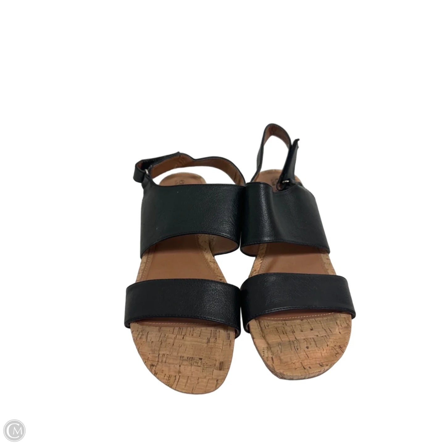 Shoes Heels Wedge By Sofft In Black, Size: 9.5