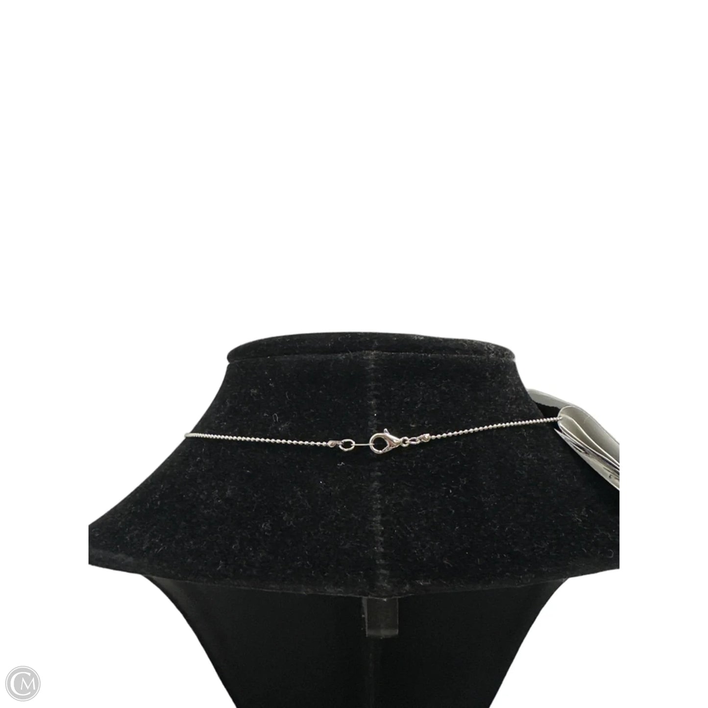 Necklace Chain By Clothes Mentor