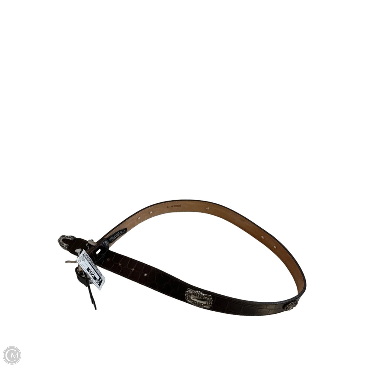 Belt By Brighton