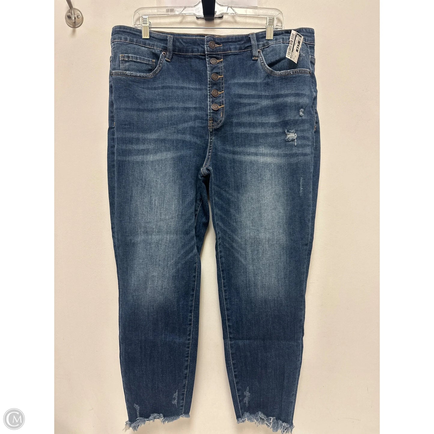 Jeans Skinny By Zenana In Blue Denim, Size: 20