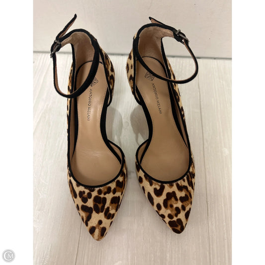 Shoes Heels Kitten By Antonio Melani In Animal Print, Size: 6