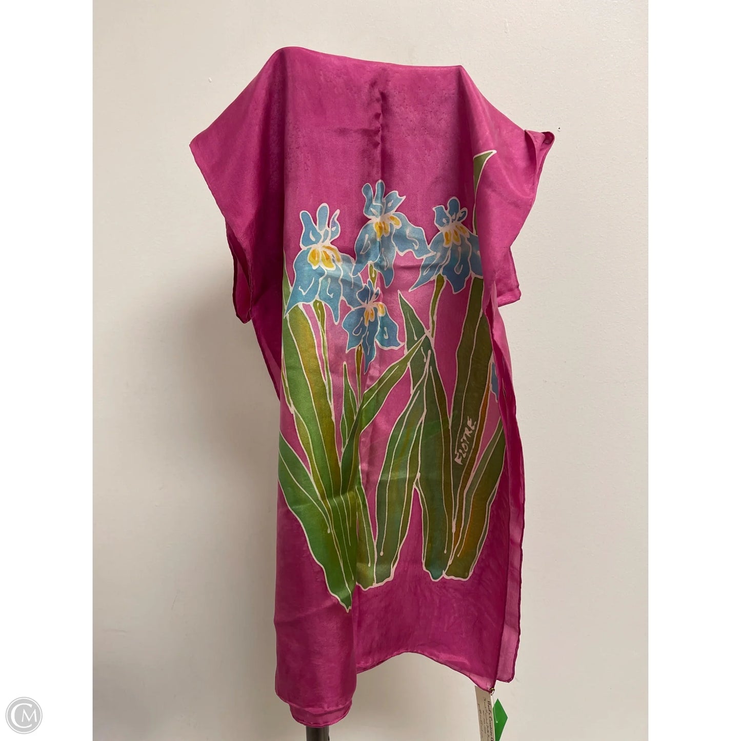 Scarf Long By Clothes Mentor