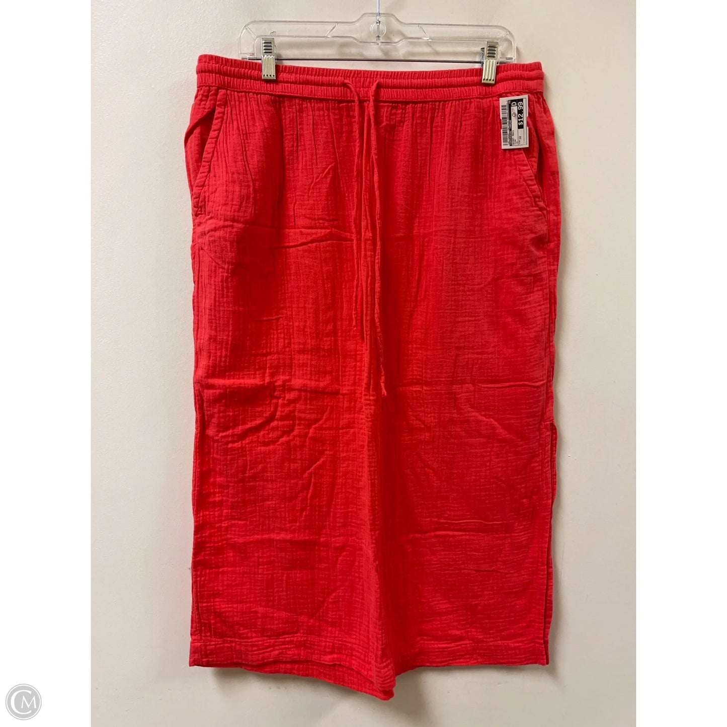 Skirt Maxi By Universal Thread In Pink, Size: 12