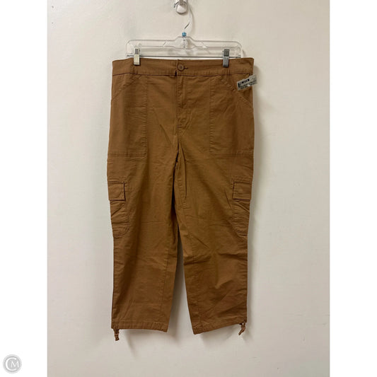Pants Cargo & Utility By Social Standard By Sanctuary In Brown, Size: 16