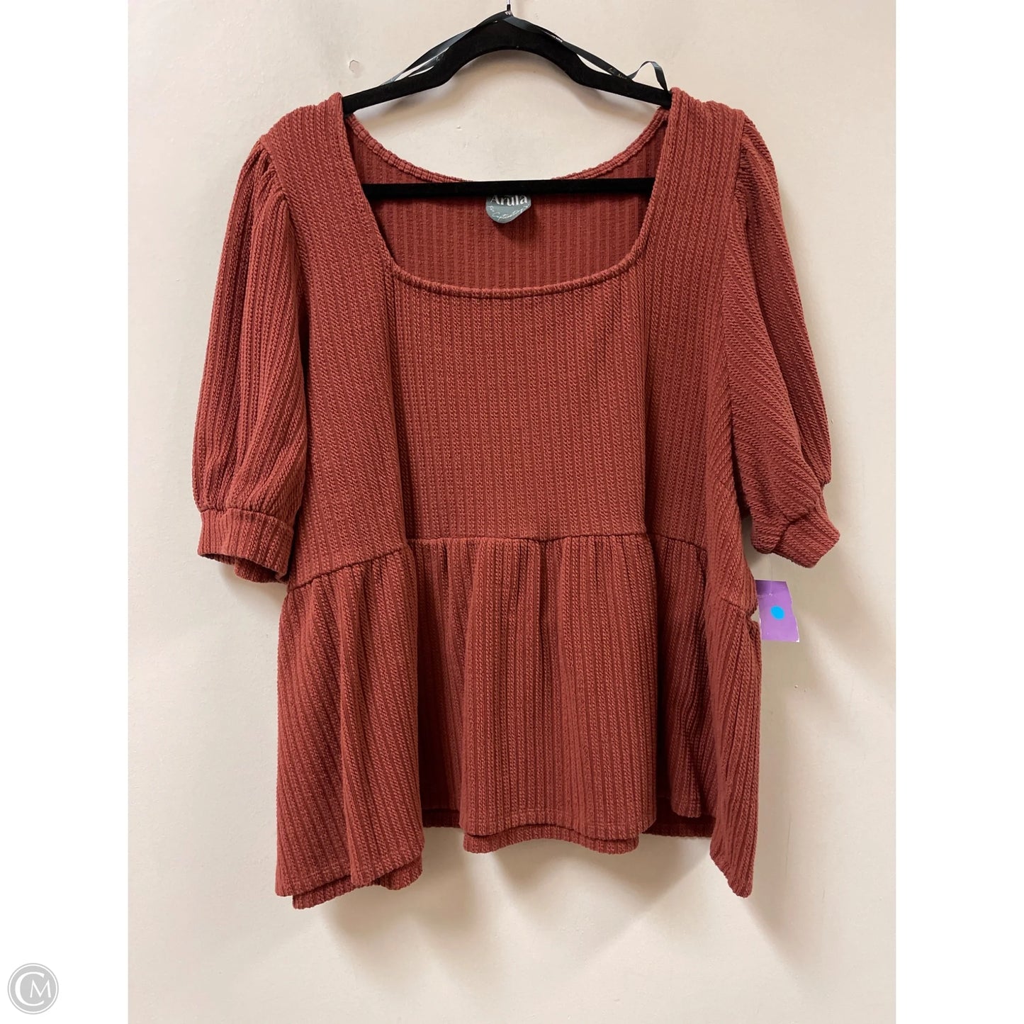 Top Short Sleeve By Arula In Brown, Size: 3x