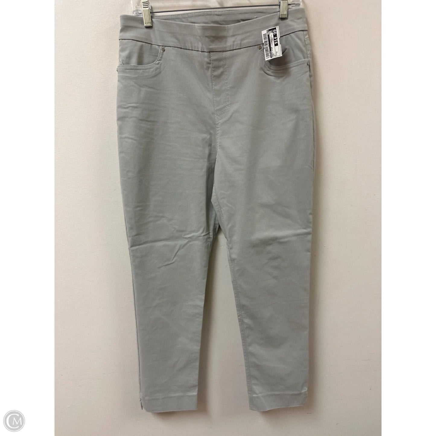 Pants Other By Chicos In Grey, Size: 8