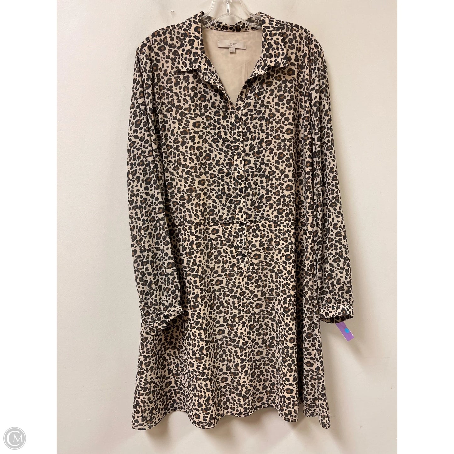 Dress Casual Short By Loft In Animal Print, Size: Xl