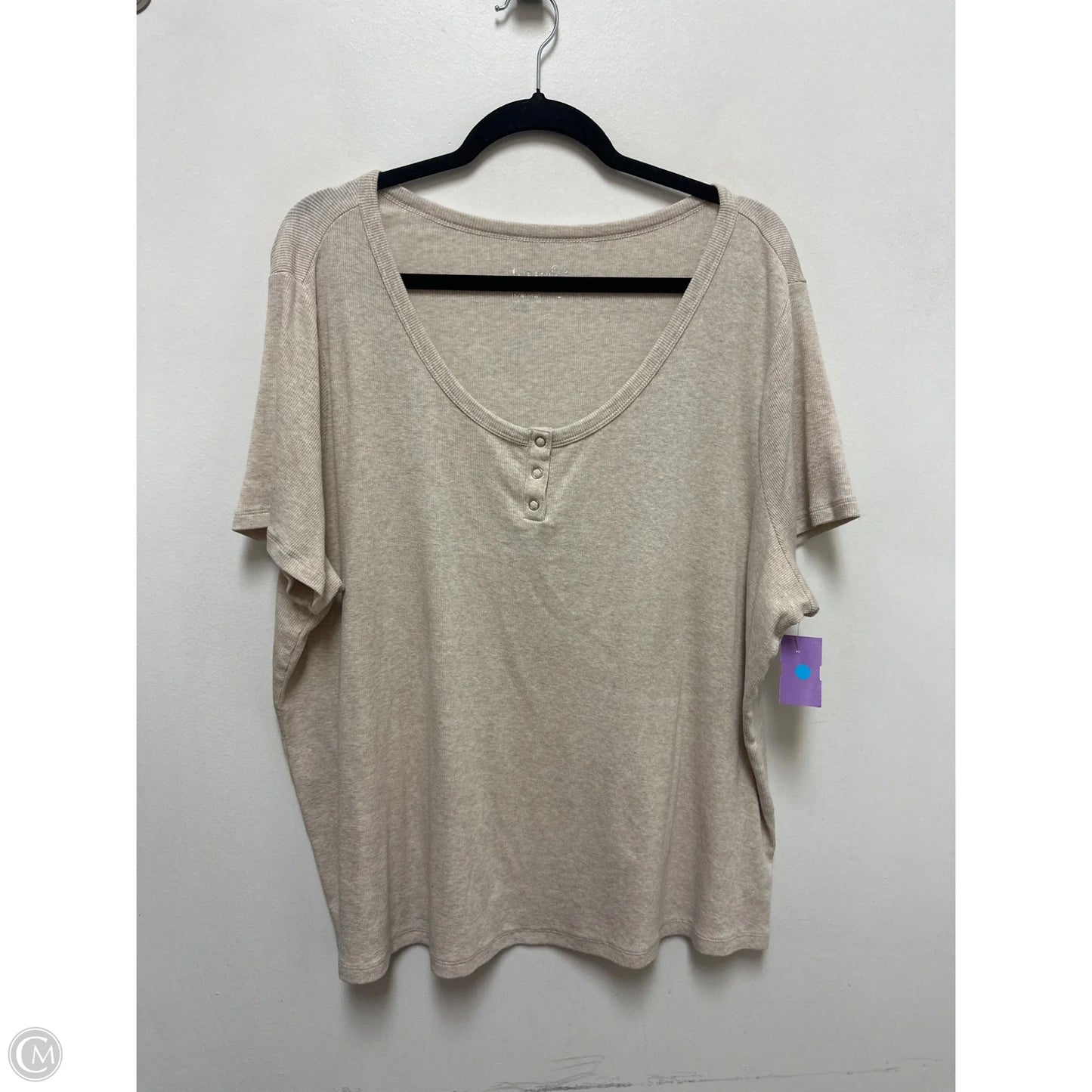 Top Short Sleeve By Terra & Sky In Cream, Size: 3x