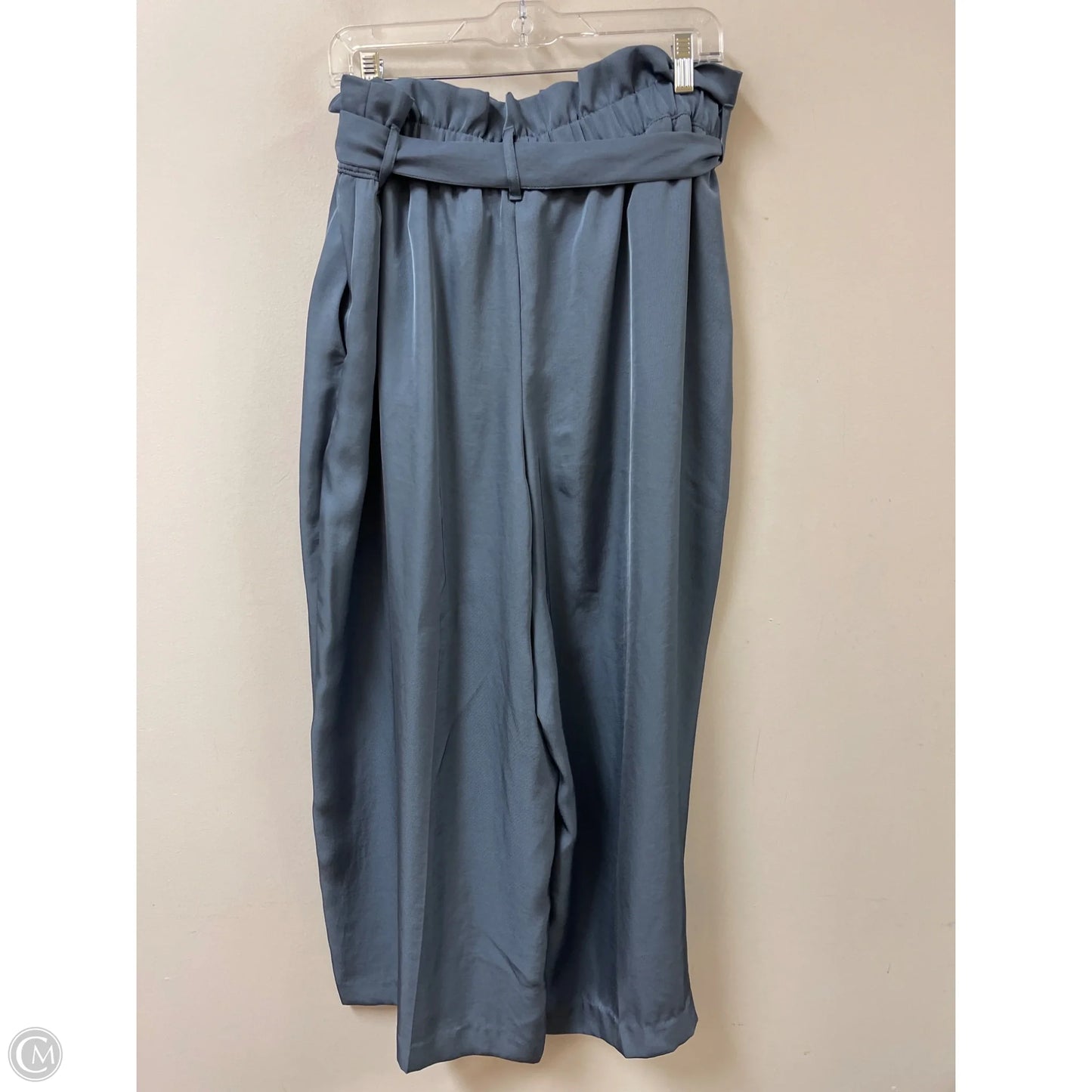 Pants Wide Leg By Express In Blue, Size: 16