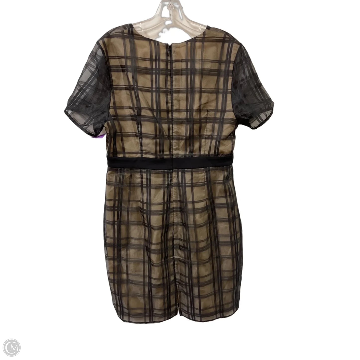 Dress Casual Short By Clothes Mentor In Black & Cream, Size: M