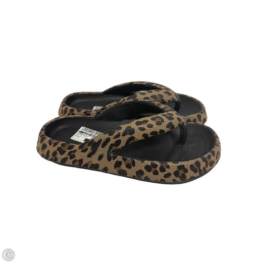 Sandals Flip Flops By Clothes Mentor In Animal Print, Size: 8