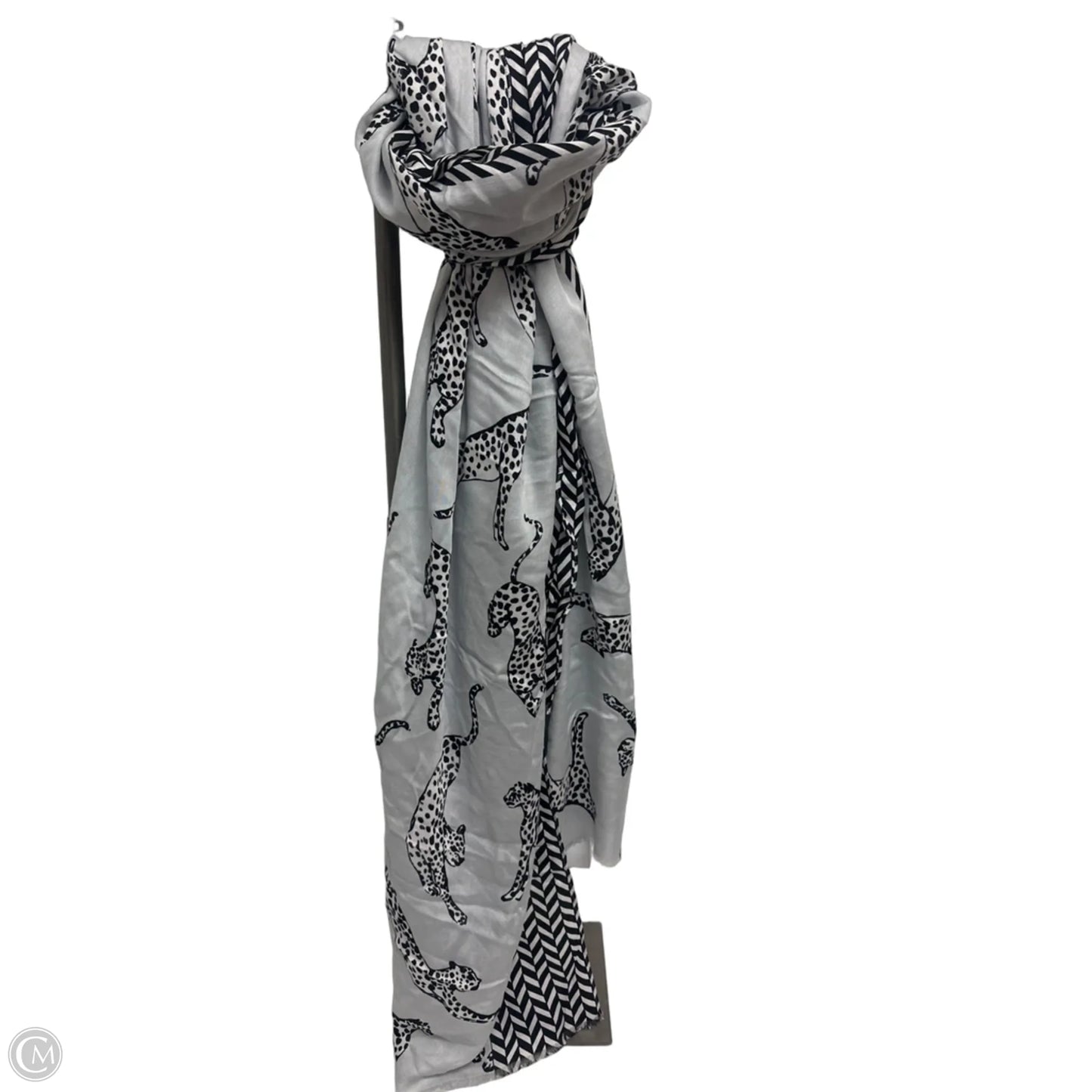 Scarf Long By Ann Taylor